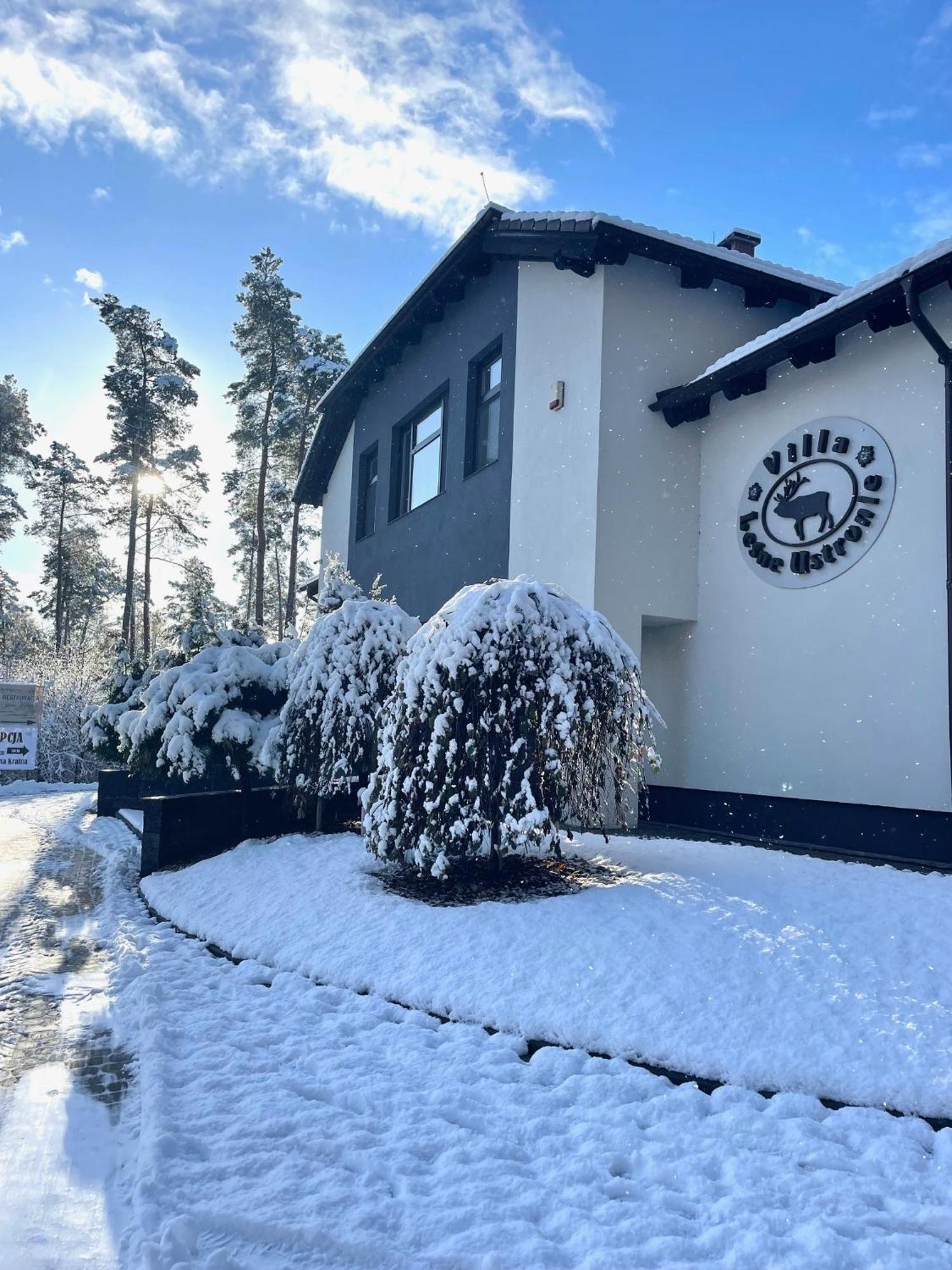 Lesne Ustronie Bed and Breakfast Lubiszewo Εξωτερικό φωτογραφία