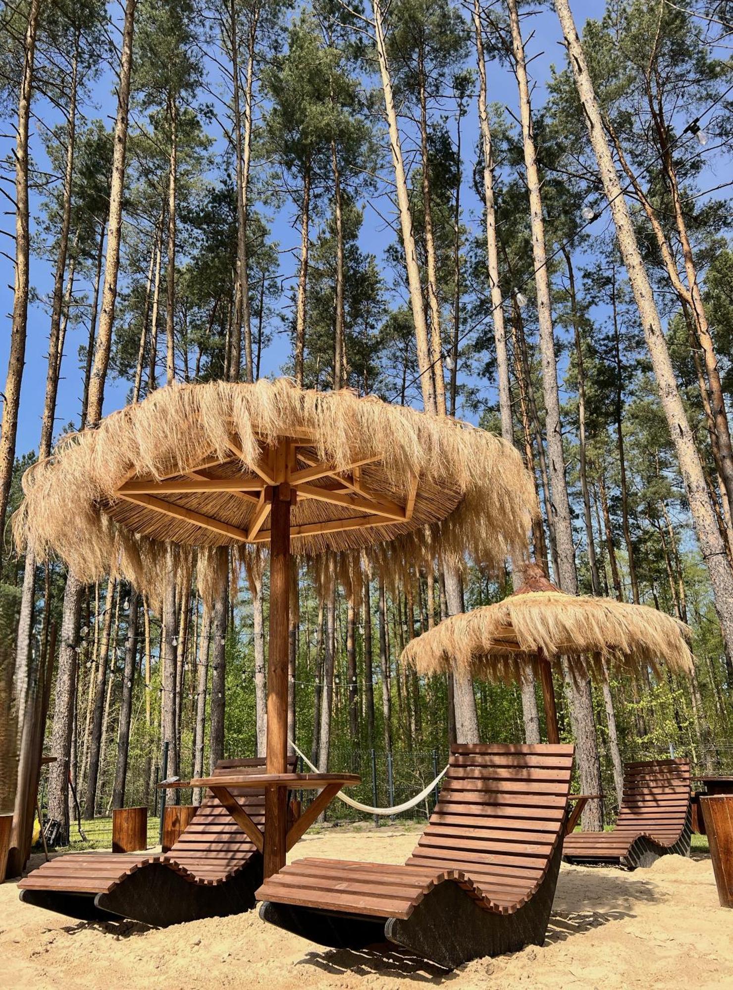 Lesne Ustronie Bed and Breakfast Lubiszewo Εξωτερικό φωτογραφία
